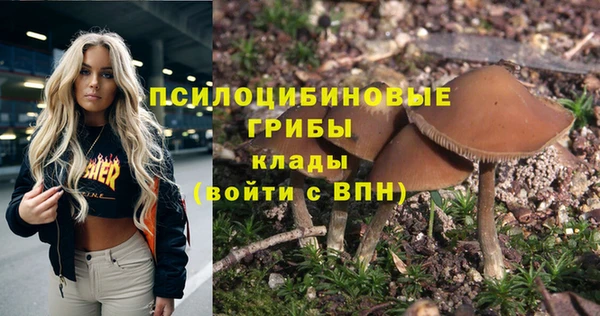 скорость mdpv Новозыбков
