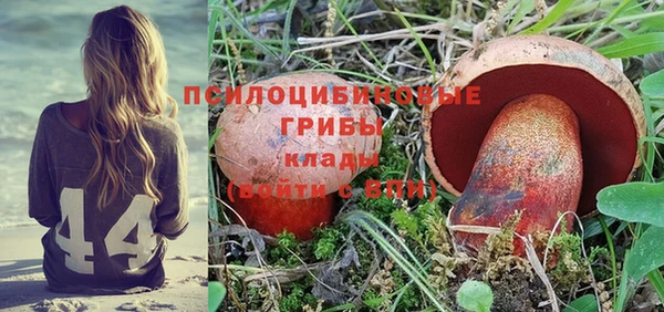 гидра Абинск