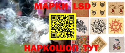 стаф Новодвинск