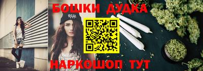 стаф Новодвинск