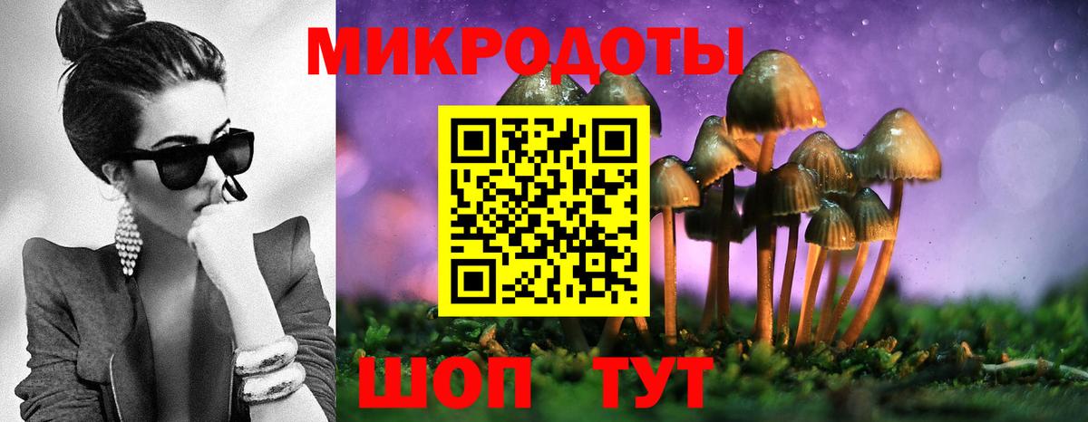 Псилоцибиновые грибы прущие грибы  Псилоцибиновые грибы прущие грибы  Вход с VPN  Таганрог 