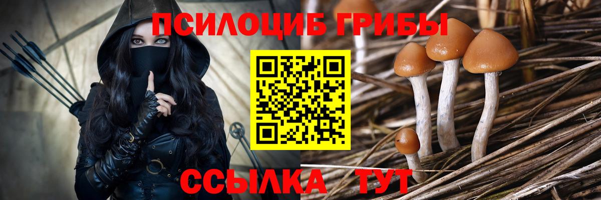 Галлюциногенные грибы MAGIC MUSHROOMS Таганрог